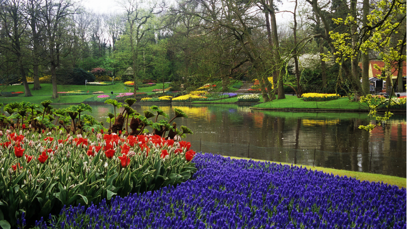 Utsikt �ver en b�ck i Keukenhof
