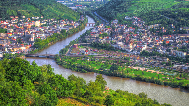 Vy över Rüdesheim och floden Rhein