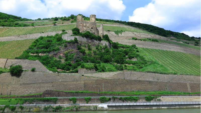 Gammal byggnad sedd från floden Rhein i Rüdesheim