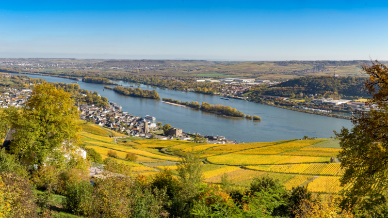 Vy över Rhein i Rüdesheim
